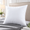 Pillorya Five-Star Hotel Pillow